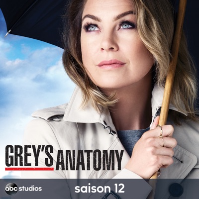 Télécharger Grey's Anatomy, Saison 12 (VF)