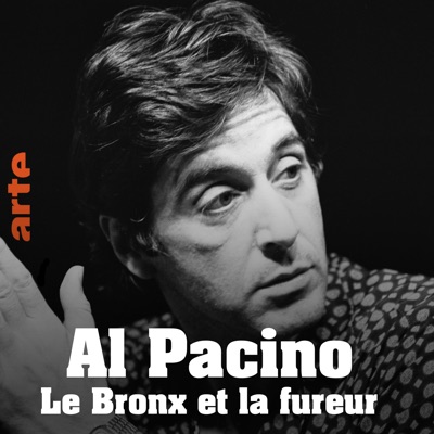 Télécharger Al Pacino - Le Bronx et la fureur