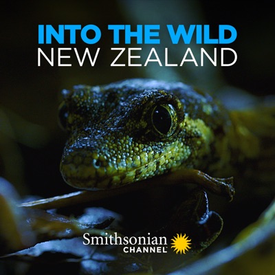 Into the Wild New Zealand, Season 1 torrent magnet