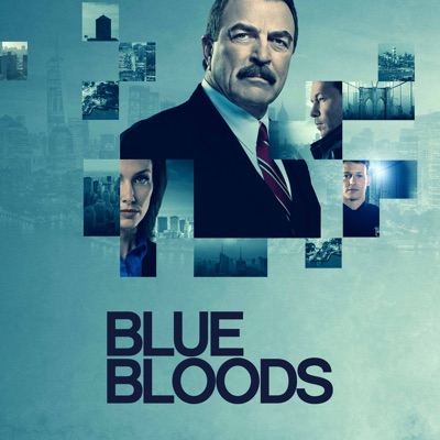 Acheter Blue Bloods, Season 11 en DVD