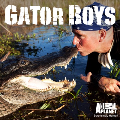 Télécharger Gator Boys, Season 3