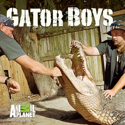 Télécharger Gator Boys, Season 5