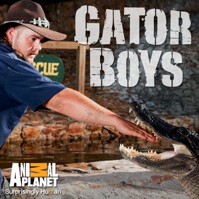 Télécharger Gator Boys, Season 2