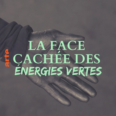 Télécharger La face cachée des énergies vertes