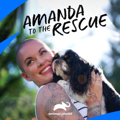 Télécharger Amanda to the Rescue, Season 2