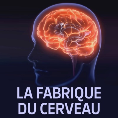 Télécharger La fabrique du cerveau