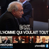 Télécharger DSK, l'homme qui voulait tout