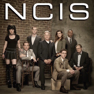 Télécharger NCIS, Saison 10