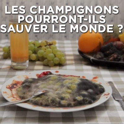 Télécharger Les champignons pourront-ils sauver le monde ?