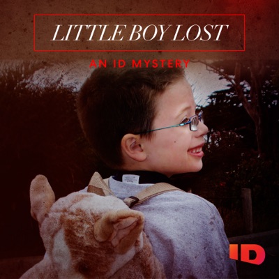 Télécharger Little Boy Lost: An ID Mystery