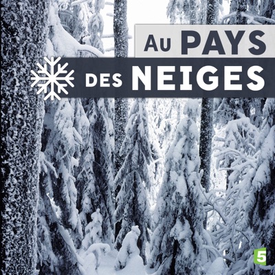 Télécharger Au pays des neiges