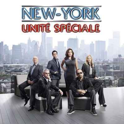 Acheter New York Unité Spéciale, Saison 14 en DVD
