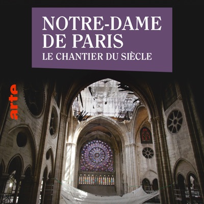 Télécharger Notre-Dame de Paris - Le chantier du siècle