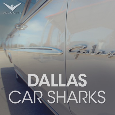 Télécharger Dallas Car Sharks, Season 3