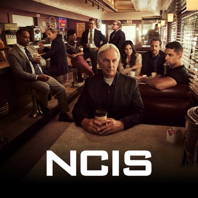 NCIS, Saison 19 (VF) torrent magnet