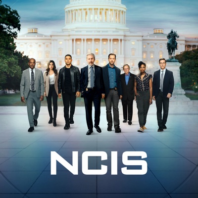 Télécharger NCIS, Saison 20 (VF)