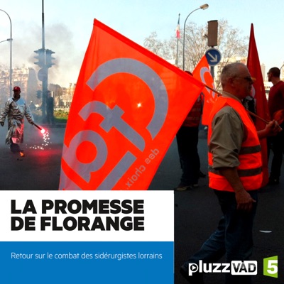 Télécharger La promesse de Florange