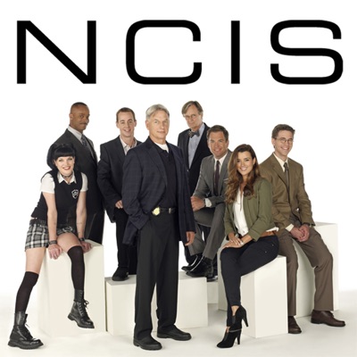 Télécharger NCIS, Saison 9 (VF)