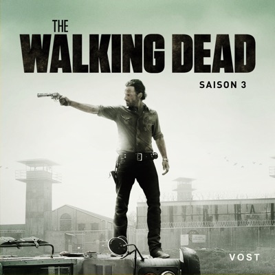 The Walking Dead, Saison 3 (VOST) torrent magnet