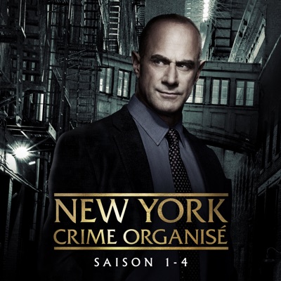 Télécharger New York: Crime Organisé, Saison 1-4 (VF)