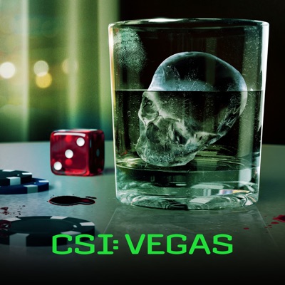 Télécharger CSI: Vegas, Saison 3