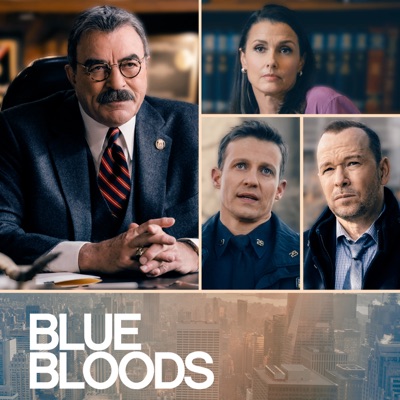 Télécharger Blue Bloods, Saison 13 (VF)