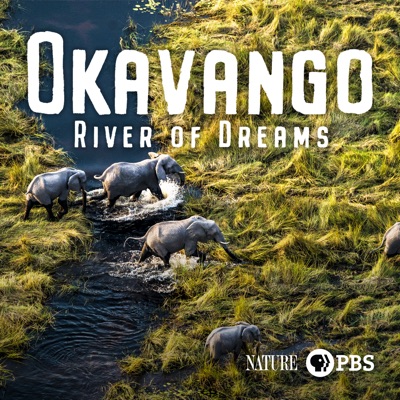 Télécharger Okavango: River of Dreams