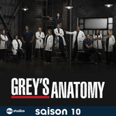 Grey's Anatomy, Saison 10 (VOST) torrent magnet