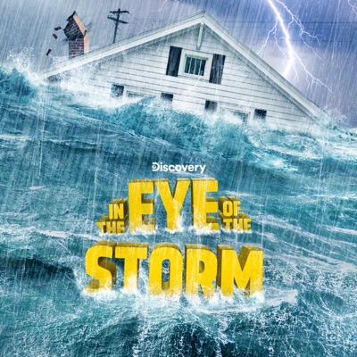 Télécharger In the Eye of the Storm, Season 4