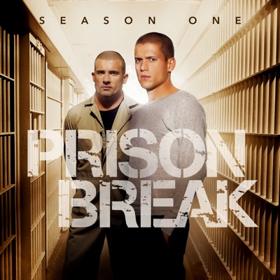 Acheter Prison Break, Season 1 en DVD