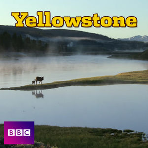 Acheter Yellowstone, Yellowstone en DVD
