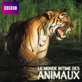 Télécharger Le monde intime des animaux, Saison 1