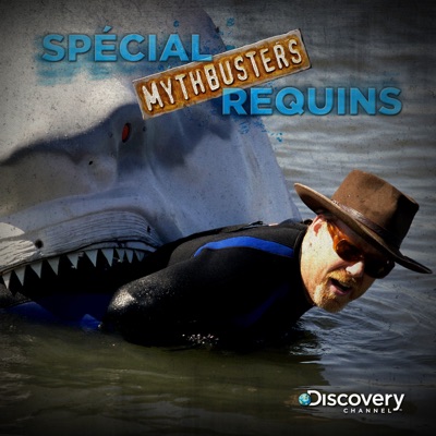 Télécharger Mythbusters : spécial requins