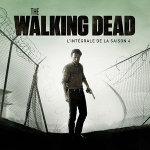 Acheter The Walking Dead, Saison 4, Partie 2 (VOST) en DVD