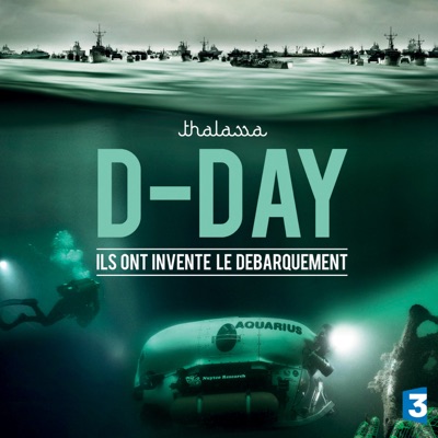 Télécharger D-Day, ils ont inventé le débarquement