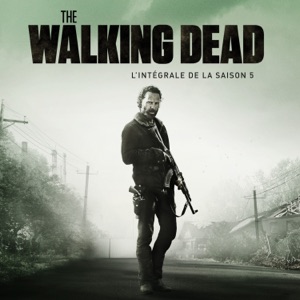 Acheter The Walking Dead, Saison 5, Partie 2 (VOST) en DVD