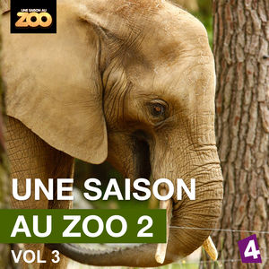 Télécharger Une saison au Zoo, Saison 2, Vol. 3