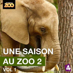 Télécharger Une saison au Zoo, Saison 2, Vol. 1