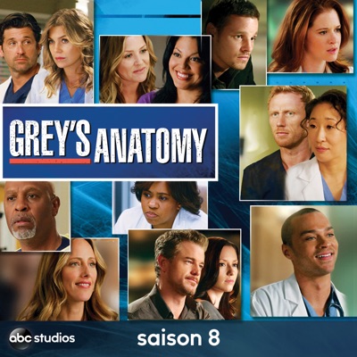 Grey's Anatomy, Saison 8 torrent magnet