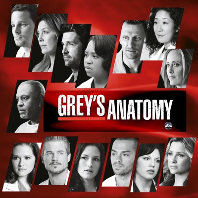 Grey's Anatomy, Season 7 torrent magnet