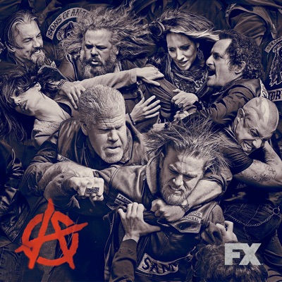 Acheter Sons of Anarchy, Saison 6 (VF) en DVD