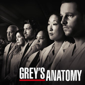 Grey's Anatomy, Saison 7 (VOST) torrent magnet