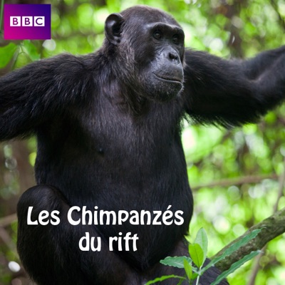 Télécharger Les Chimpanzés du rift