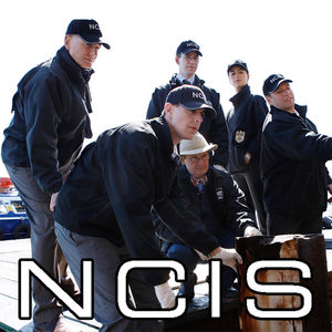 Télécharger NCIS, Saison 8 (VF)