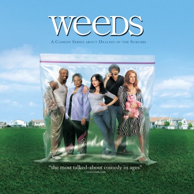 Télécharger Weeds, Saison 1 (VF)