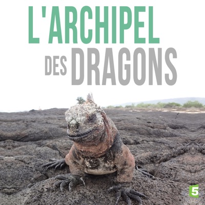 Télécharger L'archipel des dragons