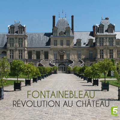 Télécharger Fontainebleau, révolution au château