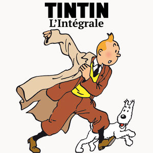 Télécharger Les aventures de Tintin, l'intégrale