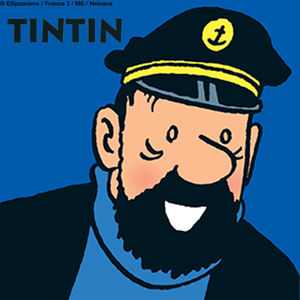 Télécharger Les aventures de Tintin, Pack Capitaine Haddock
