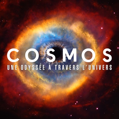 Cosmos: Une Odyssèe  À Travers L’Univers, Saison 1 (VOST) torrent magnet